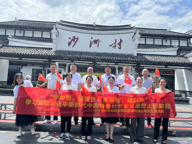 原生國貿(mào)黨支部開展“學思想、強黨性、重實踐、建 新功”主題黨日活動